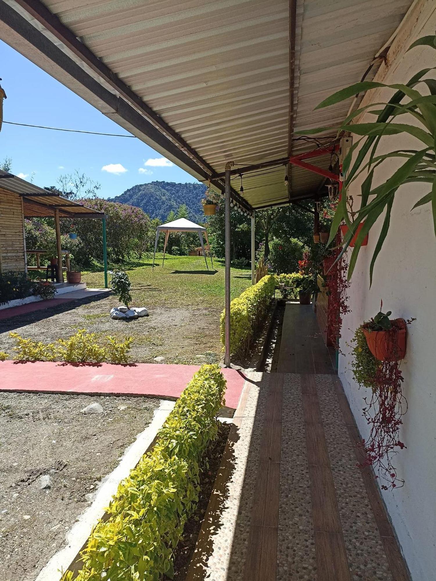 Green Bamboo Lodge San Francisco de Borja Buitenkant foto
