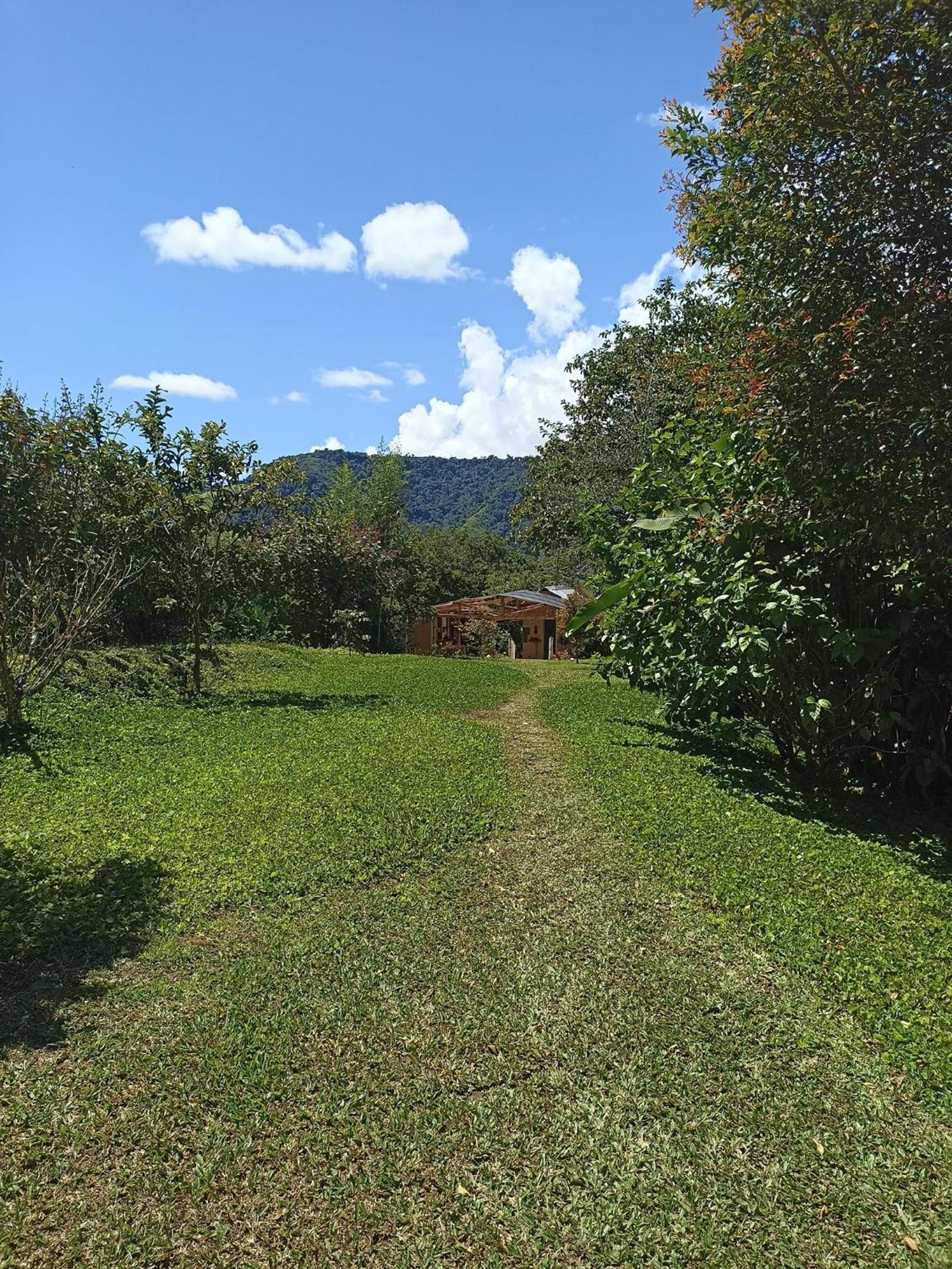Green Bamboo Lodge San Francisco de Borja Buitenkant foto