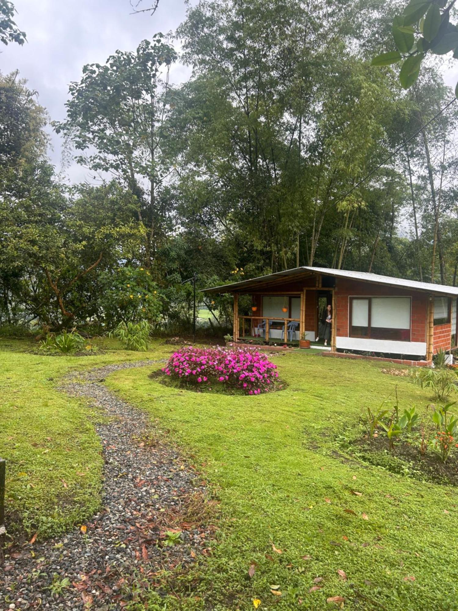 Green Bamboo Lodge San Francisco de Borja Buitenkant foto
