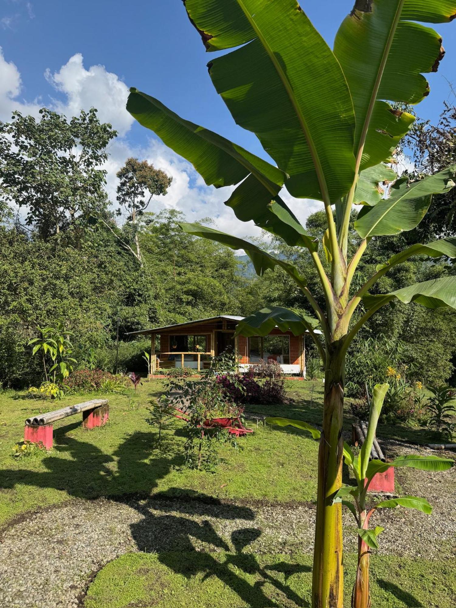 Green Bamboo Lodge San Francisco de Borja Buitenkant foto