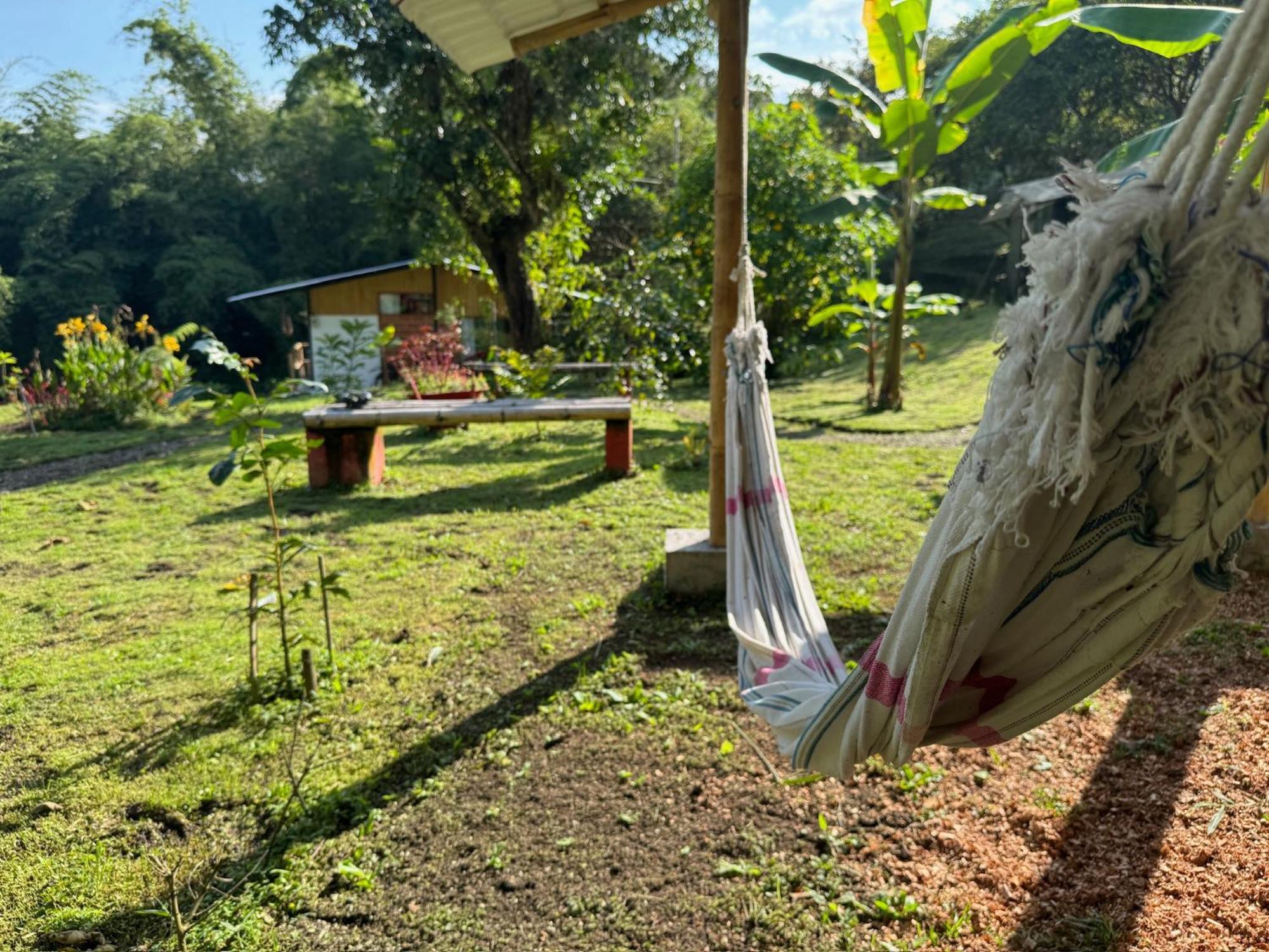 Green Bamboo Lodge San Francisco de Borja Buitenkant foto