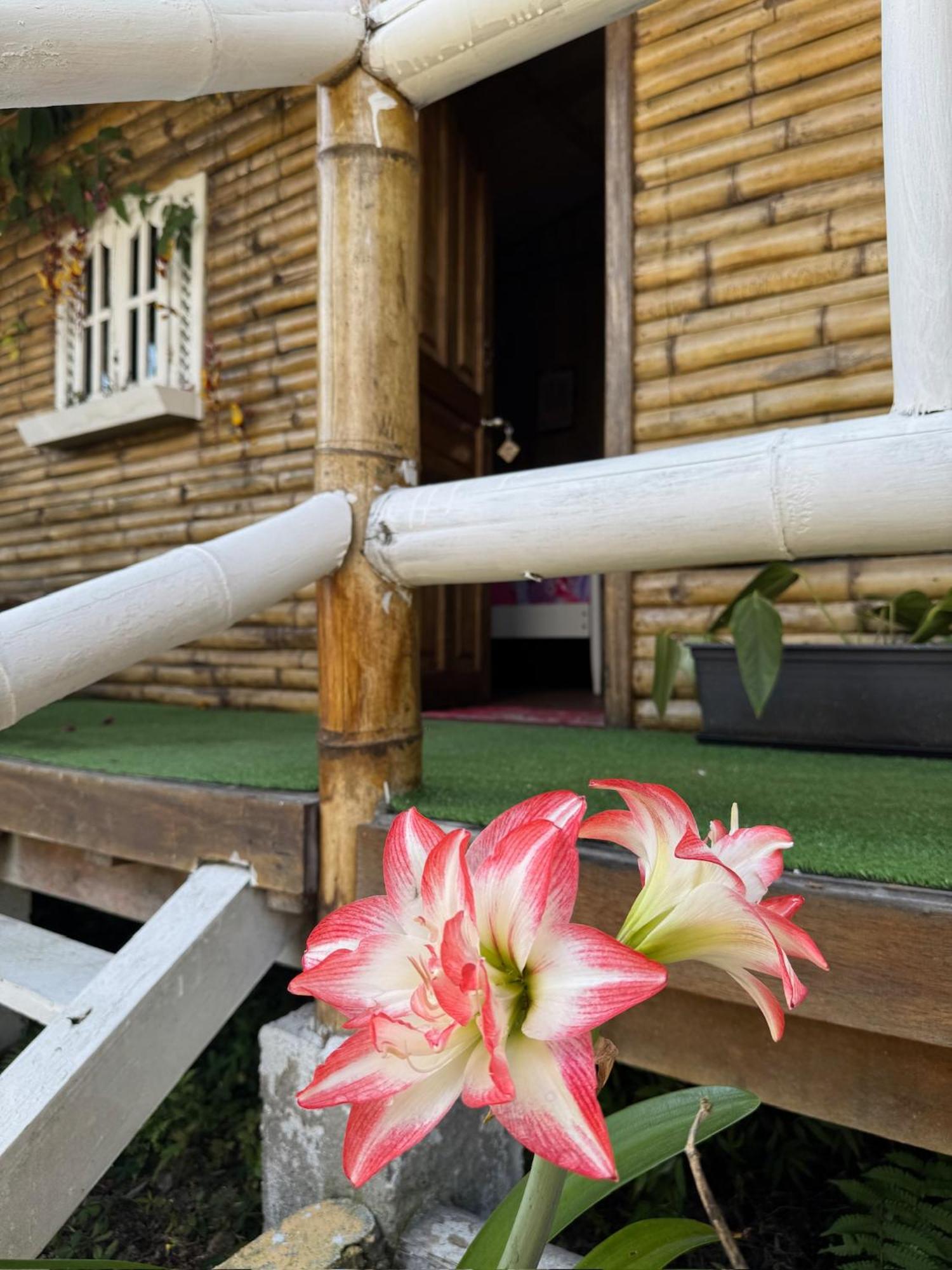 Green Bamboo Lodge San Francisco de Borja Buitenkant foto